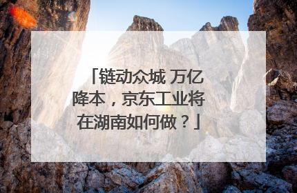 链动众城 万亿降本，京东工业将在湖南如何做？