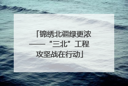 锦绣北疆绿更浓——“三北”工程攻坚战在行动