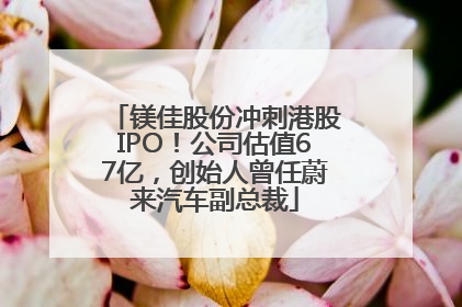 镁佳股份冲刺港股IPO！公司估值67亿，创始人曾任蔚来汽车副总裁