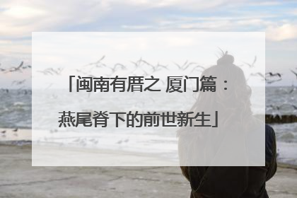 闽南有厝之 厦门篇：燕尾脊下的前世新生