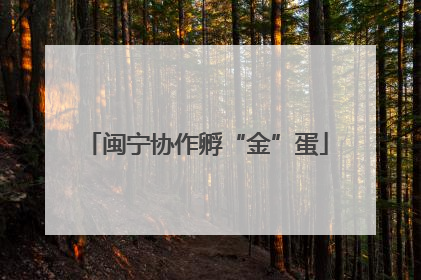 闽宁协作孵“金”蛋