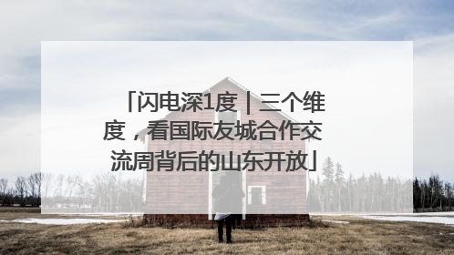 闪电深1度｜三个维度，看国际友城合作交流周背后的山东开放