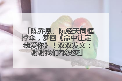 陈乔恩、阮经天同框撑伞，梦回《命中注定我爱你》！双双发文：谢谢我们都没变