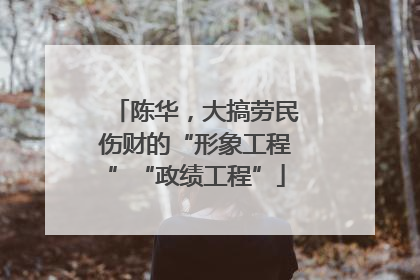 陈华，大搞劳民伤财的“形象工程”“政绩工程”