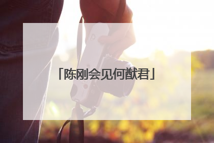 陈刚会见何猷君