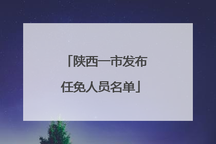 陕西一市发布任免人员名单