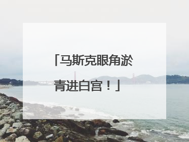 马斯克眼角淤青进白宫！