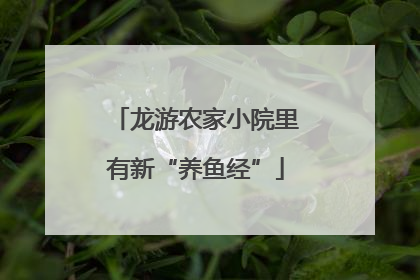 龙游农家小院里有新“养鱼经”