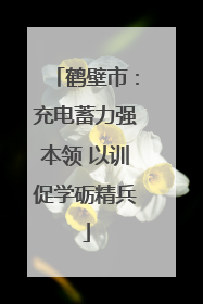 鹤壁市：充电蓄力强本领 以训促学砺精兵
