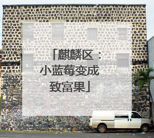 麒麟区：小蓝莓变成致富果