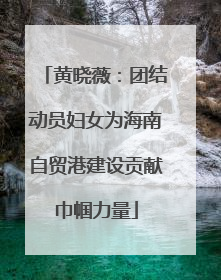 黄晓薇：团结动员妇女为海南自贸港建设贡献巾帼力量