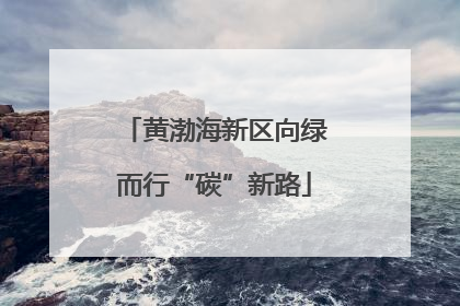 黄渤海新区向绿而行“碳”新路