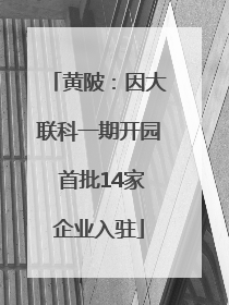 黄陂：因大联科一期开园 首批14家企业入驻