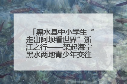 黑水县中小学生“走出阿坝看世界”浙江之行——架起海宁黑水两地青少年交往交流交融新桥梁