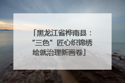 黑龙江省桦南县：“三色”匠心织锦绣 绘就治理新画卷