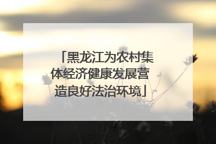 黑龙江为农村集体经济健康发展营造良好法治环境