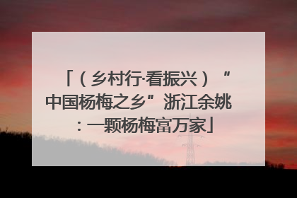 （乡村行·看振兴）“中国杨梅之乡”浙江余姚：一颗杨梅富万家