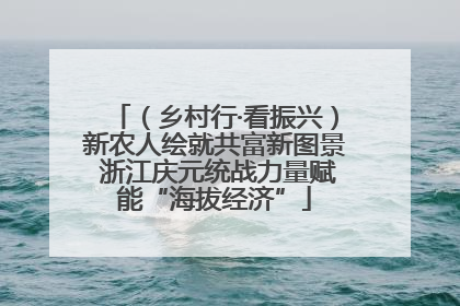 （乡村行·看振兴）新农人绘就共富新图景 浙江庆元统战力量赋能“海拔经济”