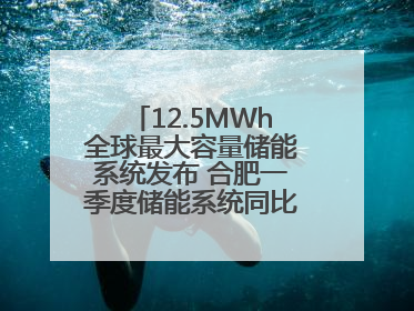 12.5MWh全球最大容量储能系统发布 合肥一季度储能系统同比增长425%