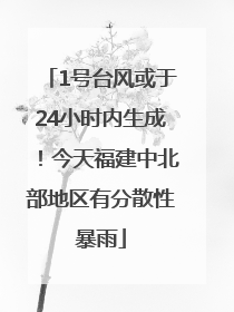 1号台风或于24小时内生成！今天福建中北部地区有分散性暴雨