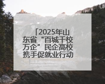 2025年山东省“百城千校万企”民企高校携手促就业行动暨潍坊市职教活动周启动