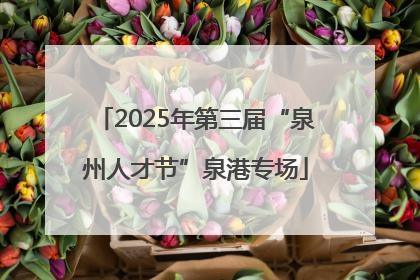 2025年第三届“泉州人才节”泉港专场