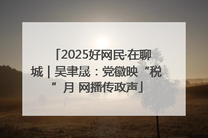 2025好网民·在聊城｜吴聿晟：党徽映“税”月 网播传政声