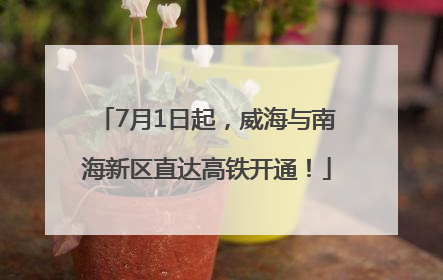 7月1日起，威海与南海新区直达高铁开通！
