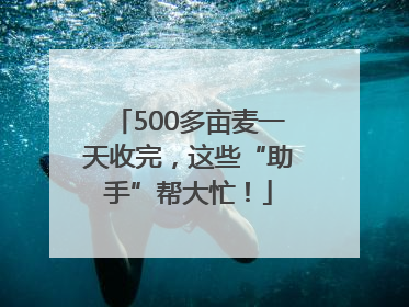 500多亩麦一天收完，这些“助手”帮大忙！