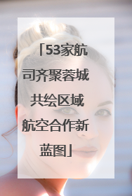 53家航司齐聚蓉城 共绘区域航空合作新蓝图