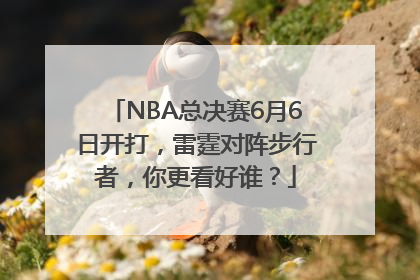 NBA总决赛6月6日开打，雷霆对阵步行者，你更看好谁？